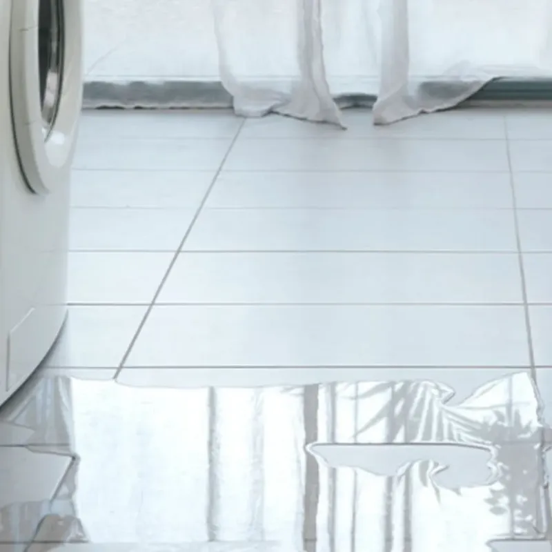 Appliance Leak Cleanup in Vinton, VA