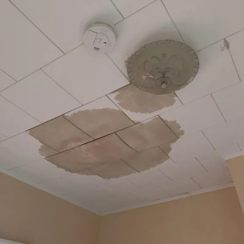 Ceiling Water Damage Repair in Vinton, VA