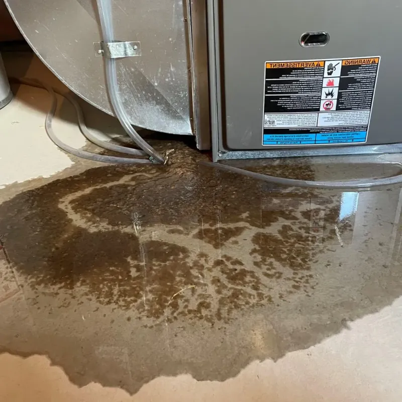 Pipe Burst and Leak Restoration in Vinton, VA