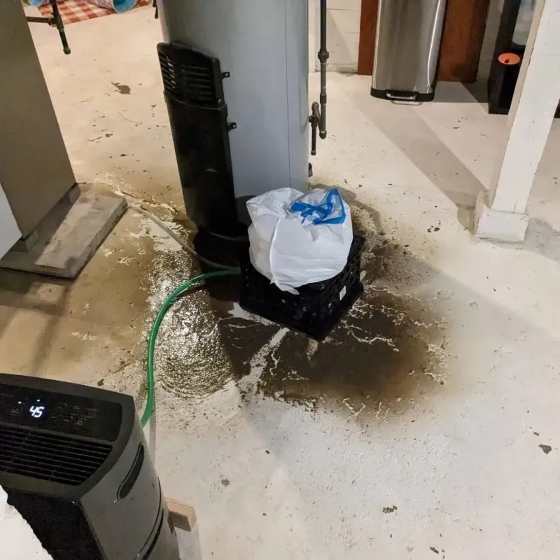 Sewage Backup Cleanup Service in Vinton, VA